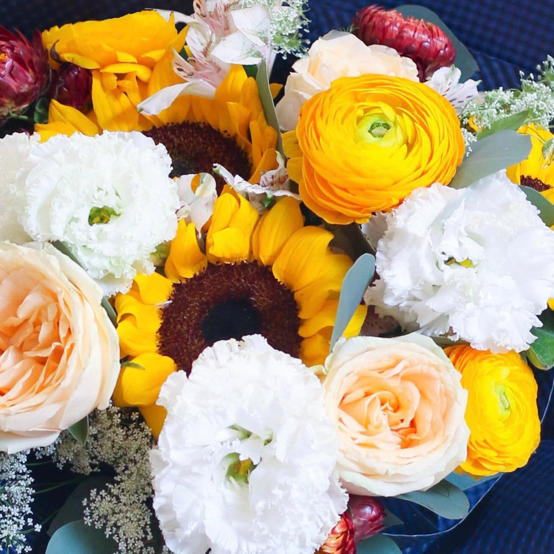 Birthday & Celebration