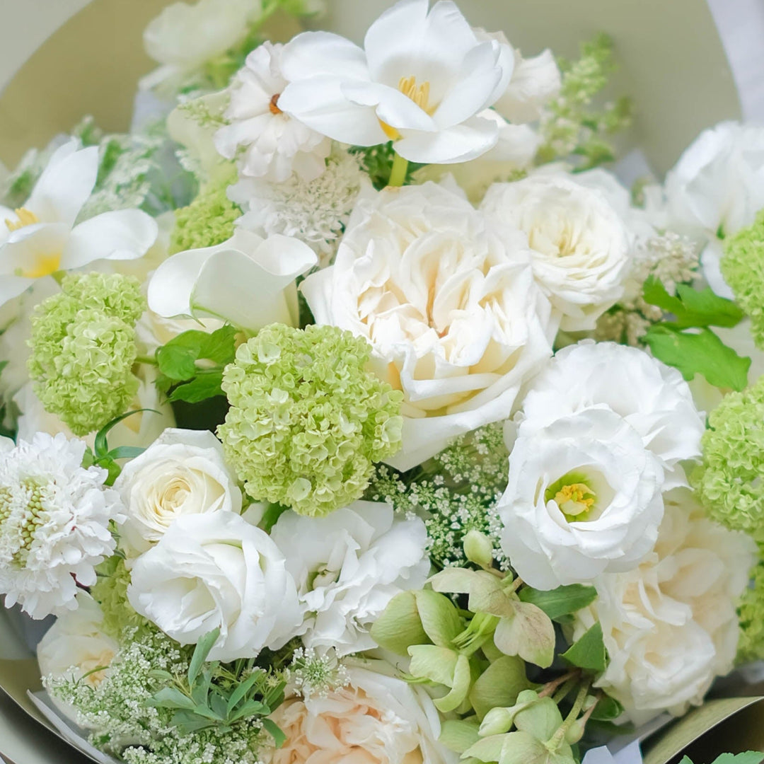 Get Well & Encouragement