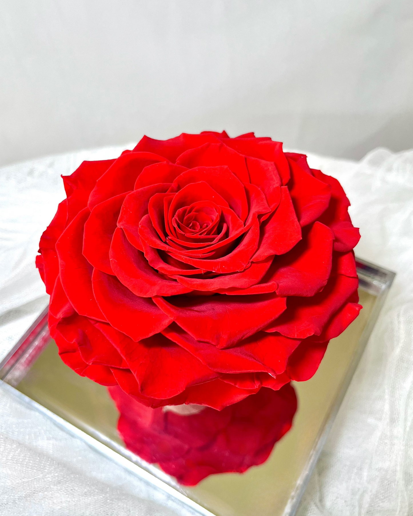 Red Rose —— Everlasting Flower