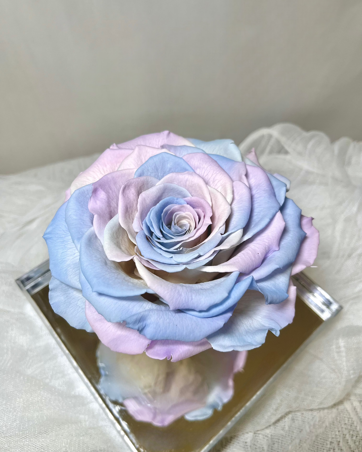 Mermaid Rose —— Everlasting Flower