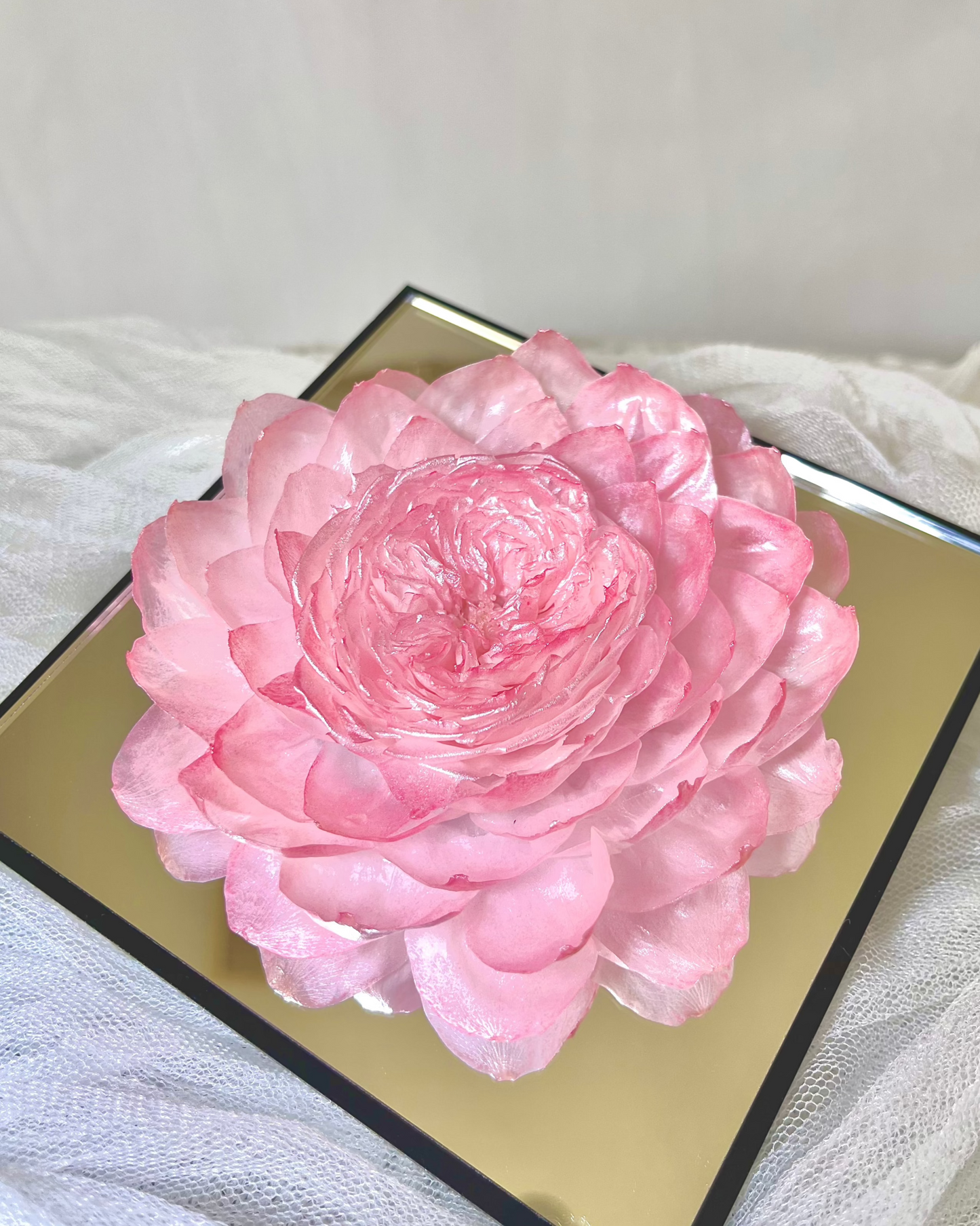 Pink Peony —— Everlasting Flower